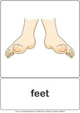 Bildkarte - feet.pdf